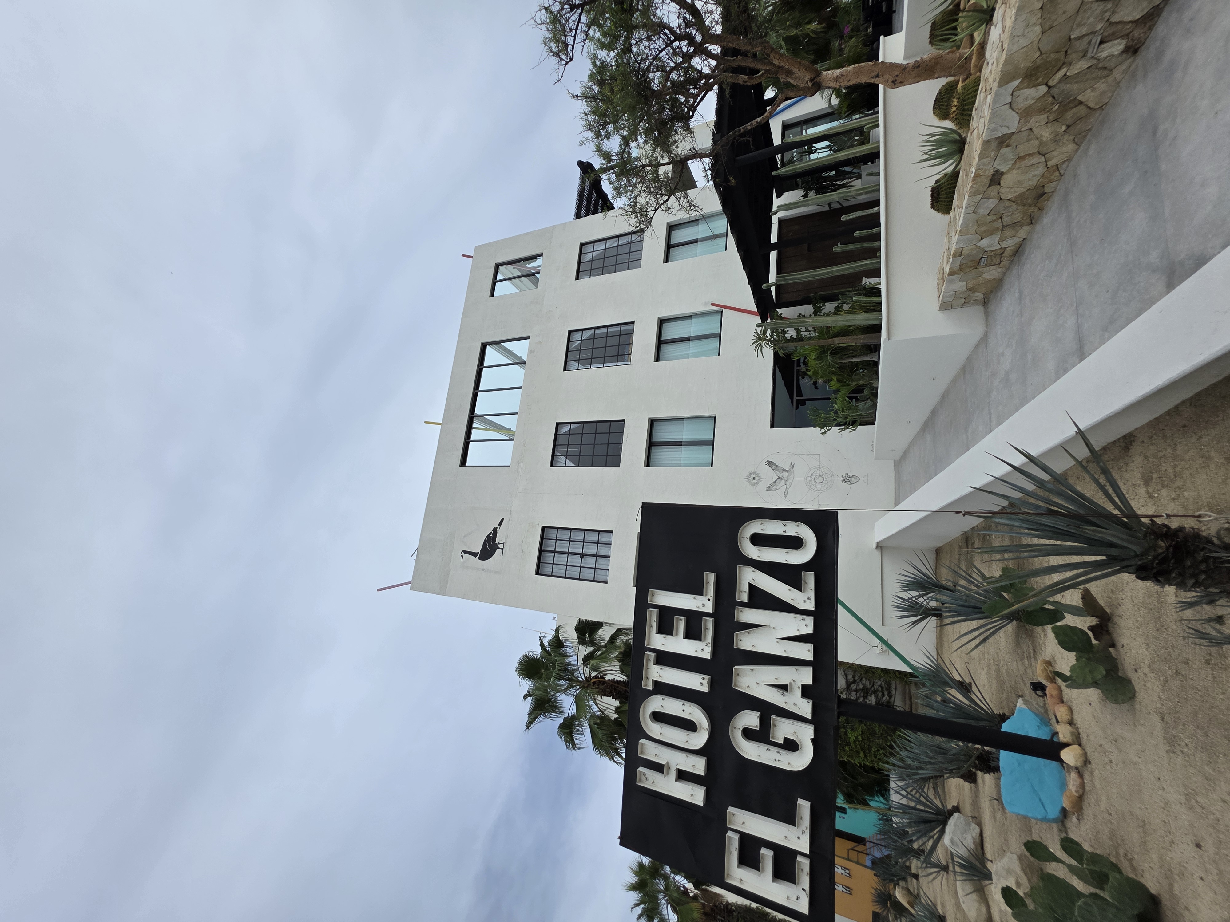 Hotel El Ganzo: An Artistic Hideaway on the Marina in San Jose Del Cabos – Travel review photo