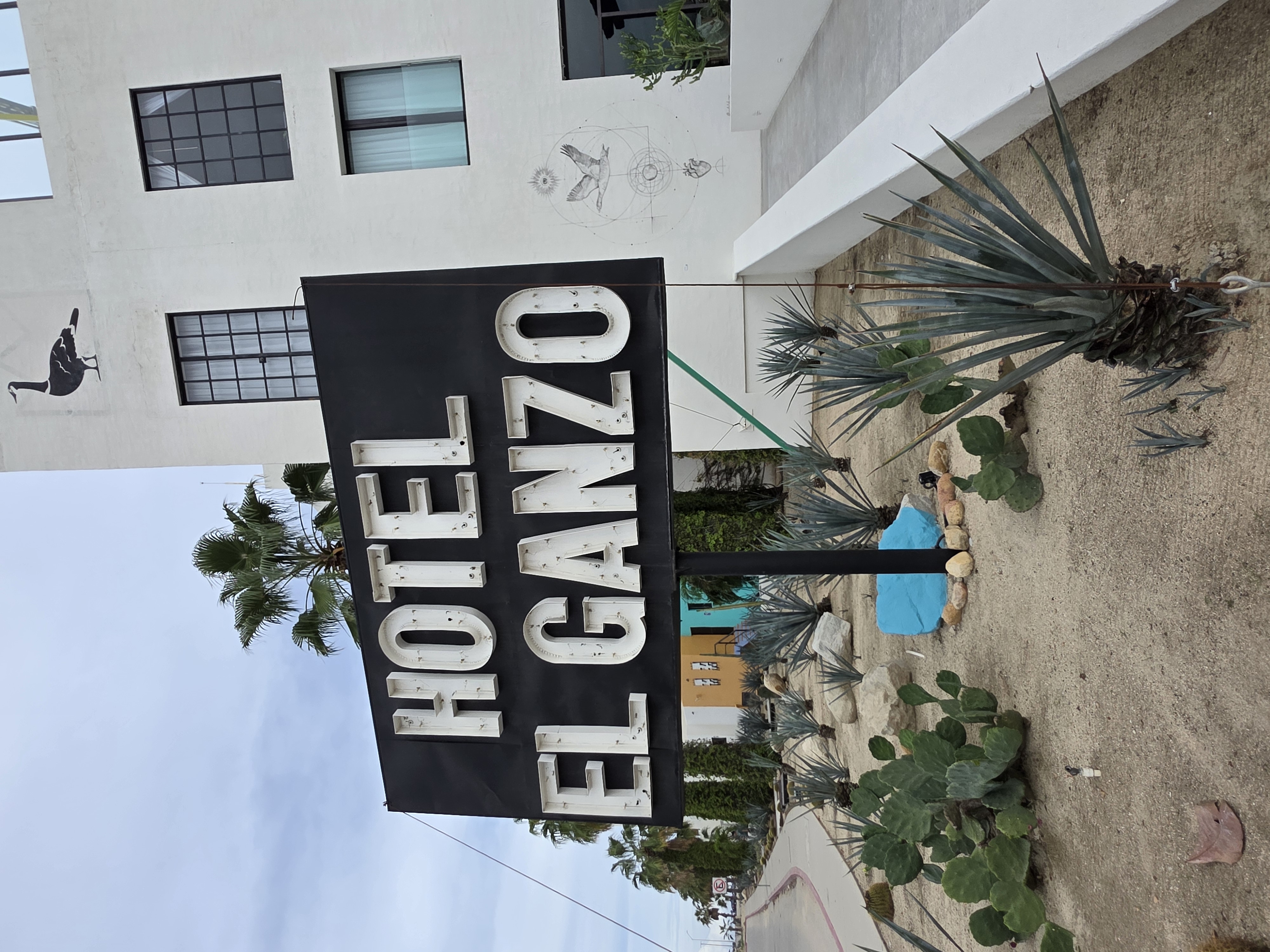 Hotel El Ganzo: An Artistic Hideaway on the Marina in San Jose Del Cabos – Travel review photo