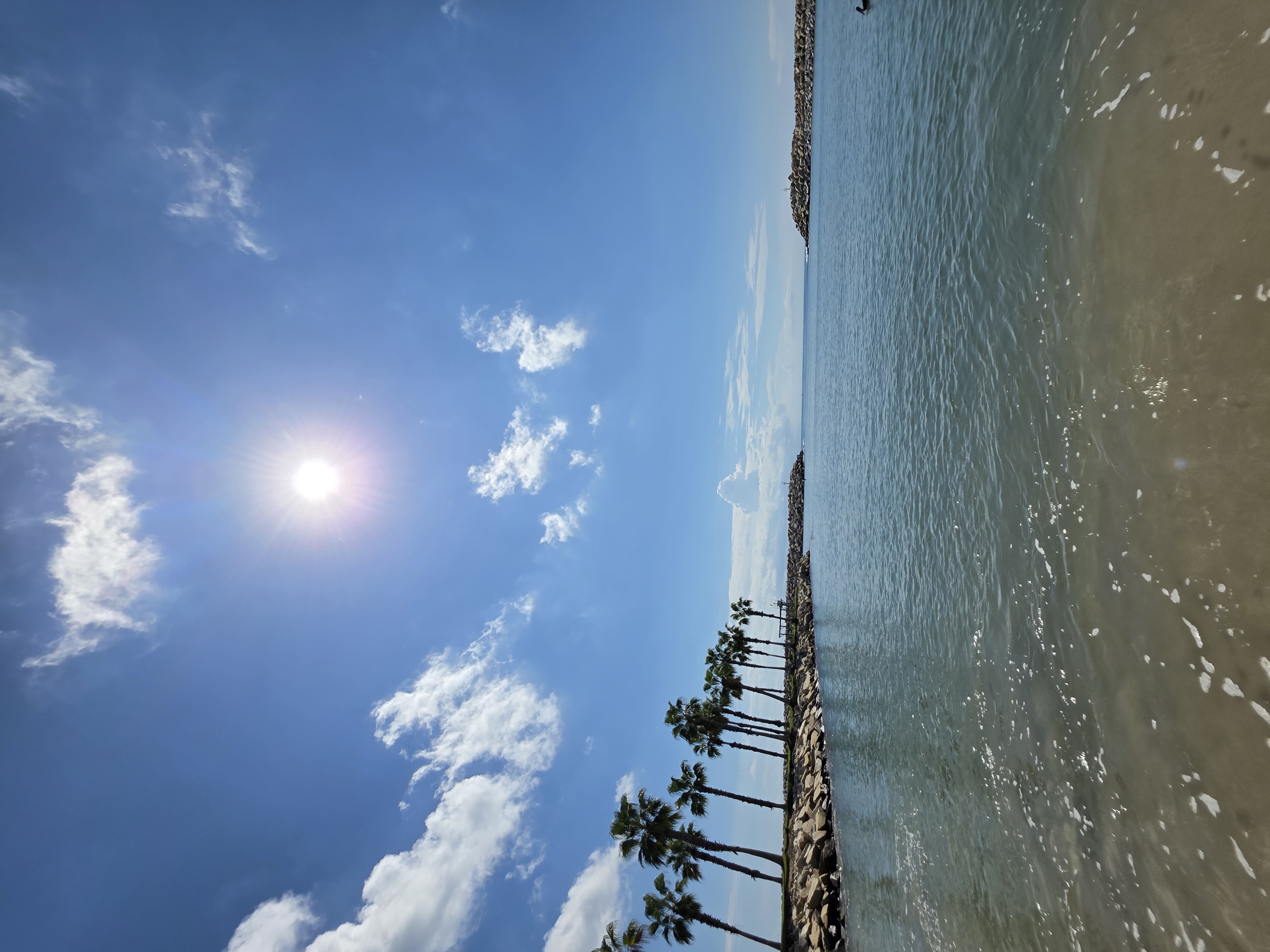 Hotel El Ganzo: An Artistic Hideaway on the Marina in San Jose Del Cabos – Travel review photo