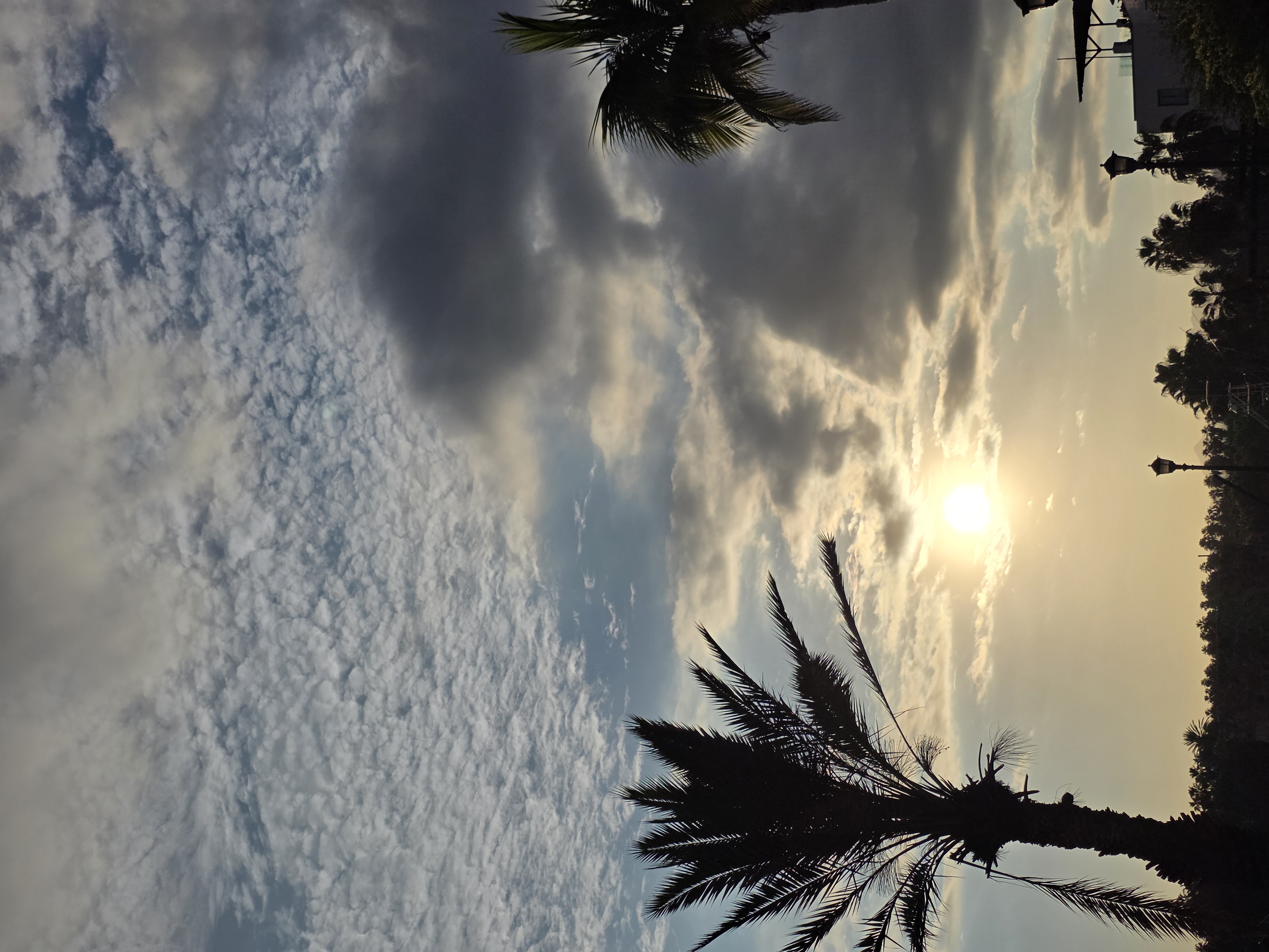 Hotel El Ganzo: An Artistic Hideaway on the Marina in San Jose Del Cabos – Travel review photo