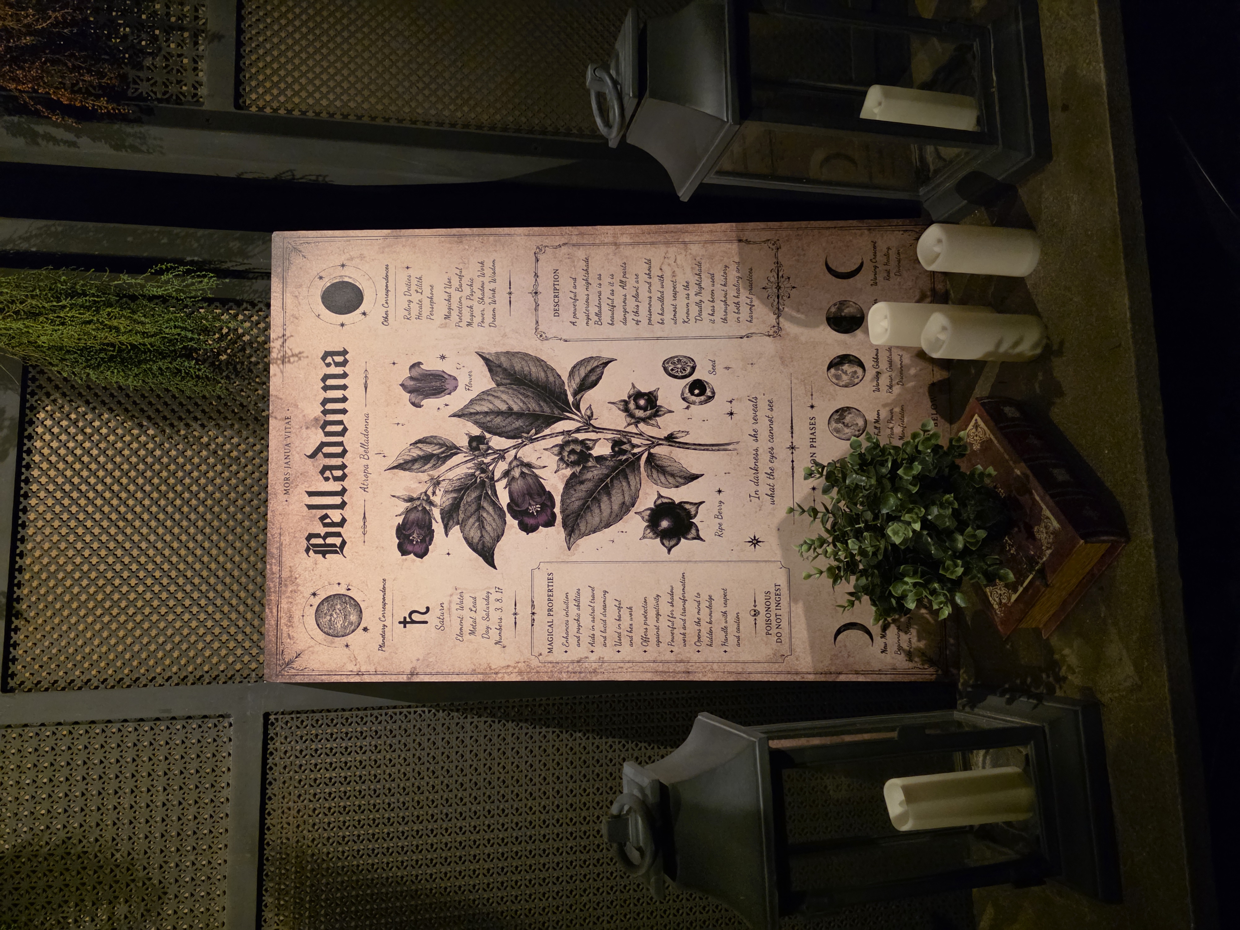 The Eliza Jane: A Quiet Retreat with True New Orleans Personality – Travel review photo