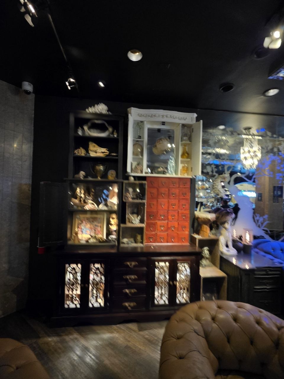 The Cabinet of Curiosities – Drinks review photo
